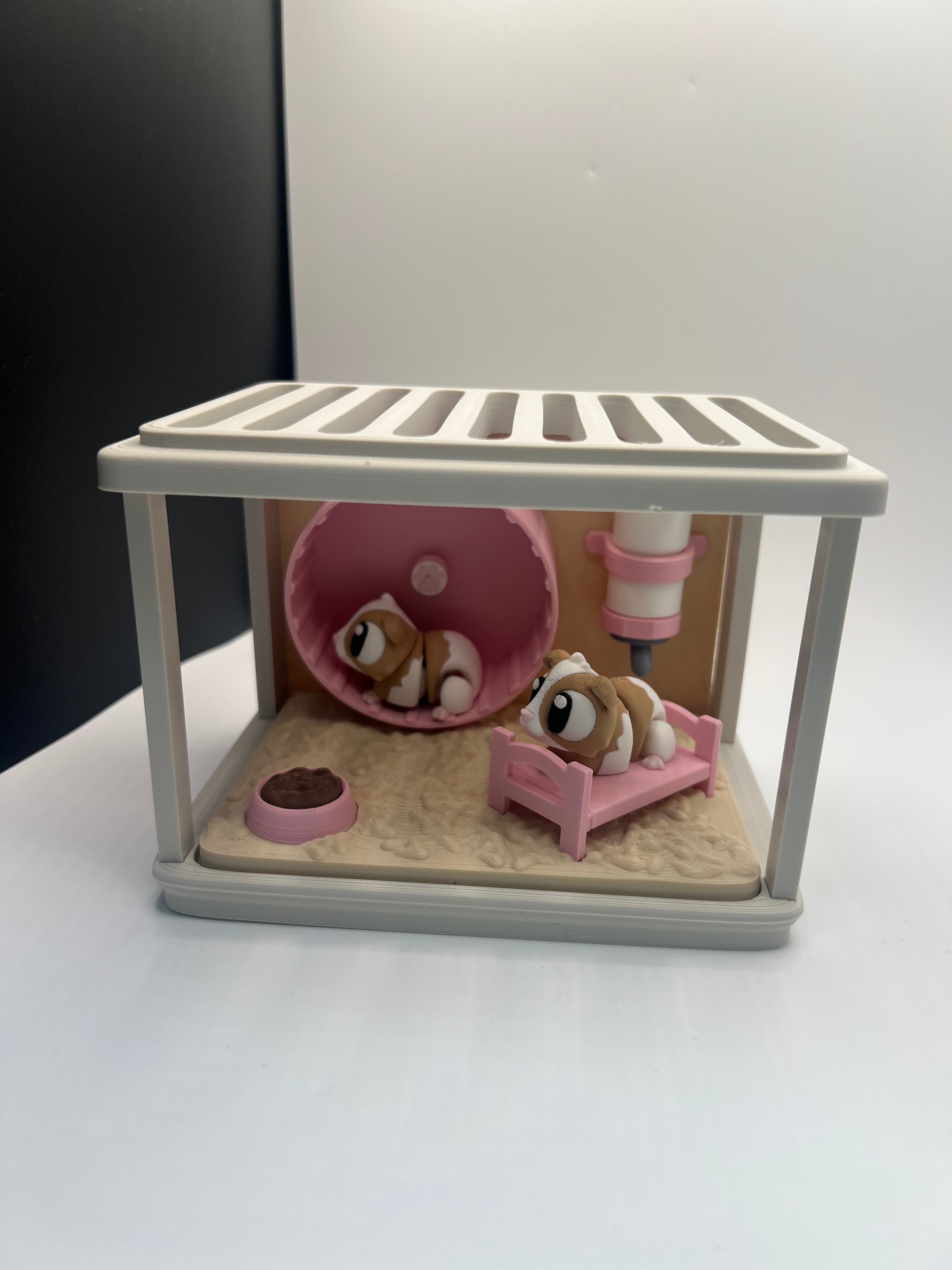 Guinea Pigs with Cage