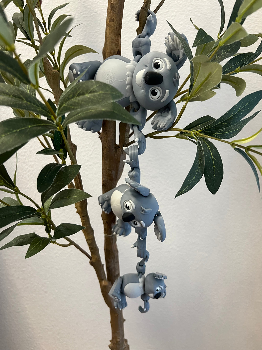 Koala Family