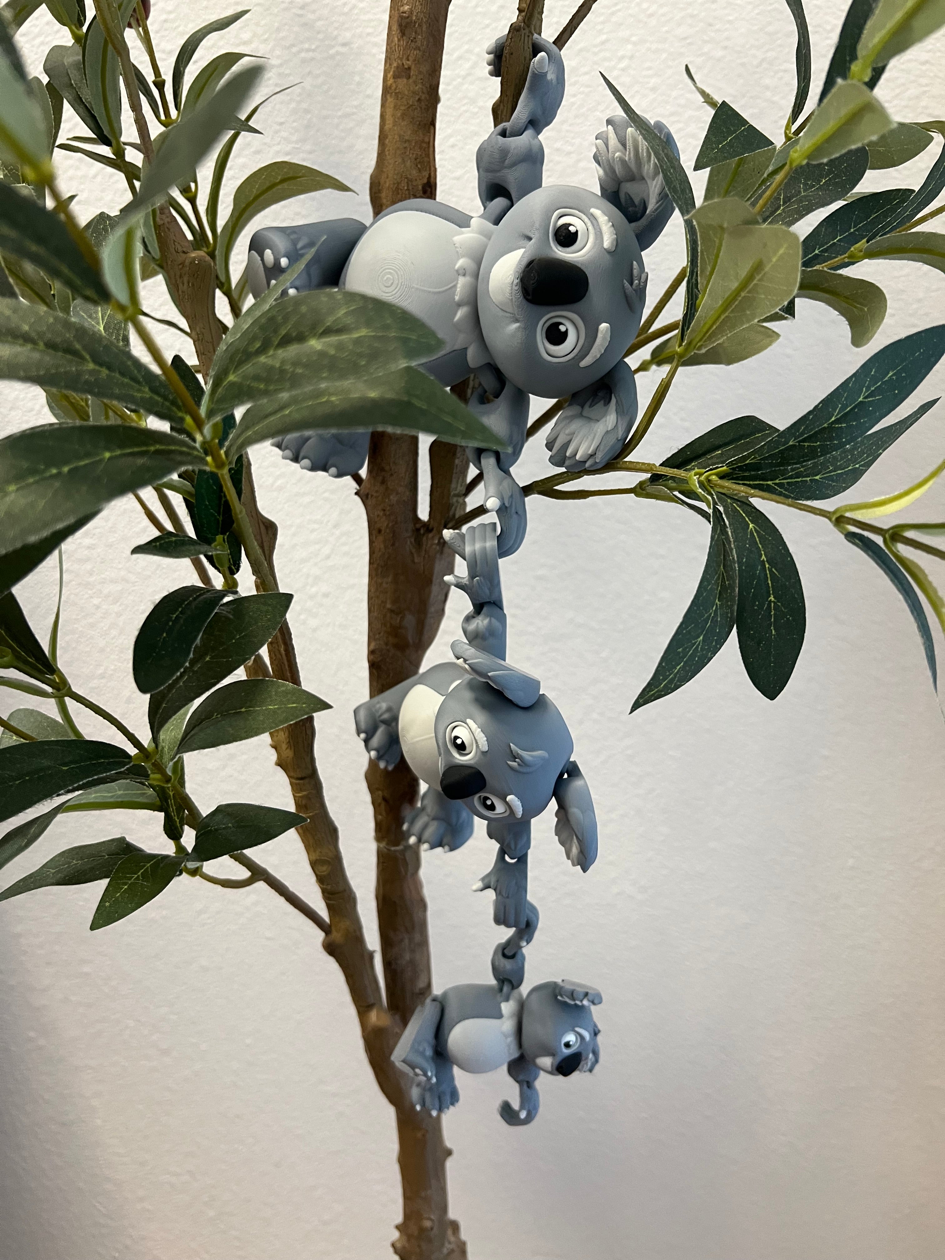 Koala Family