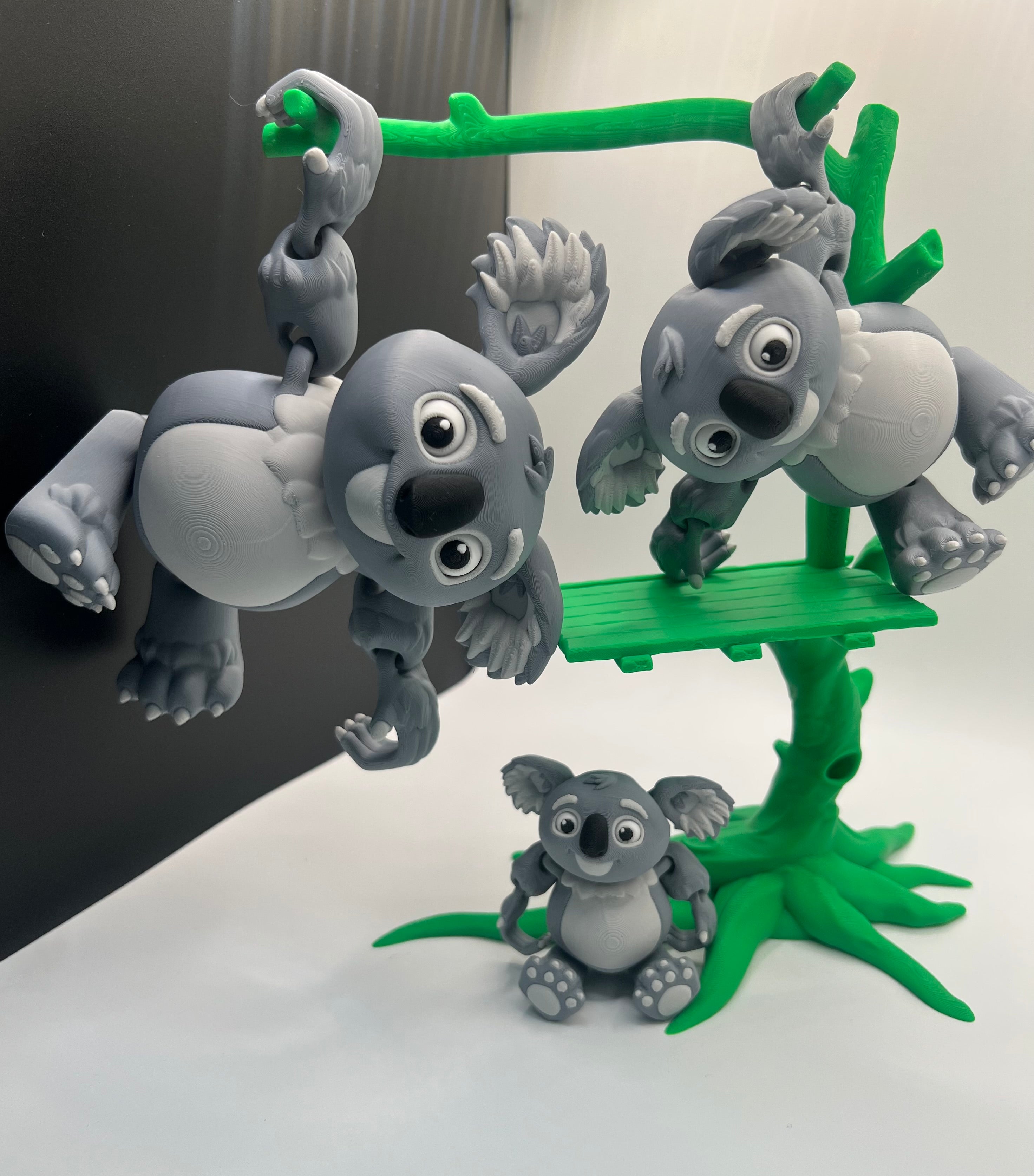 Koala Family