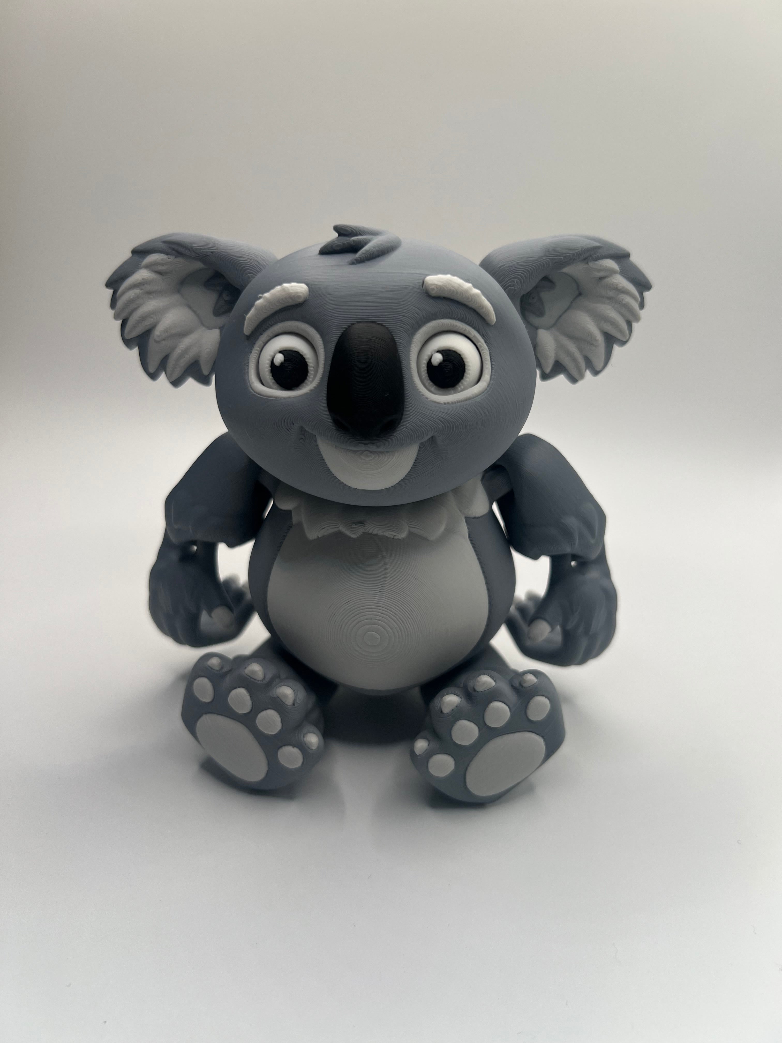 Koala Family