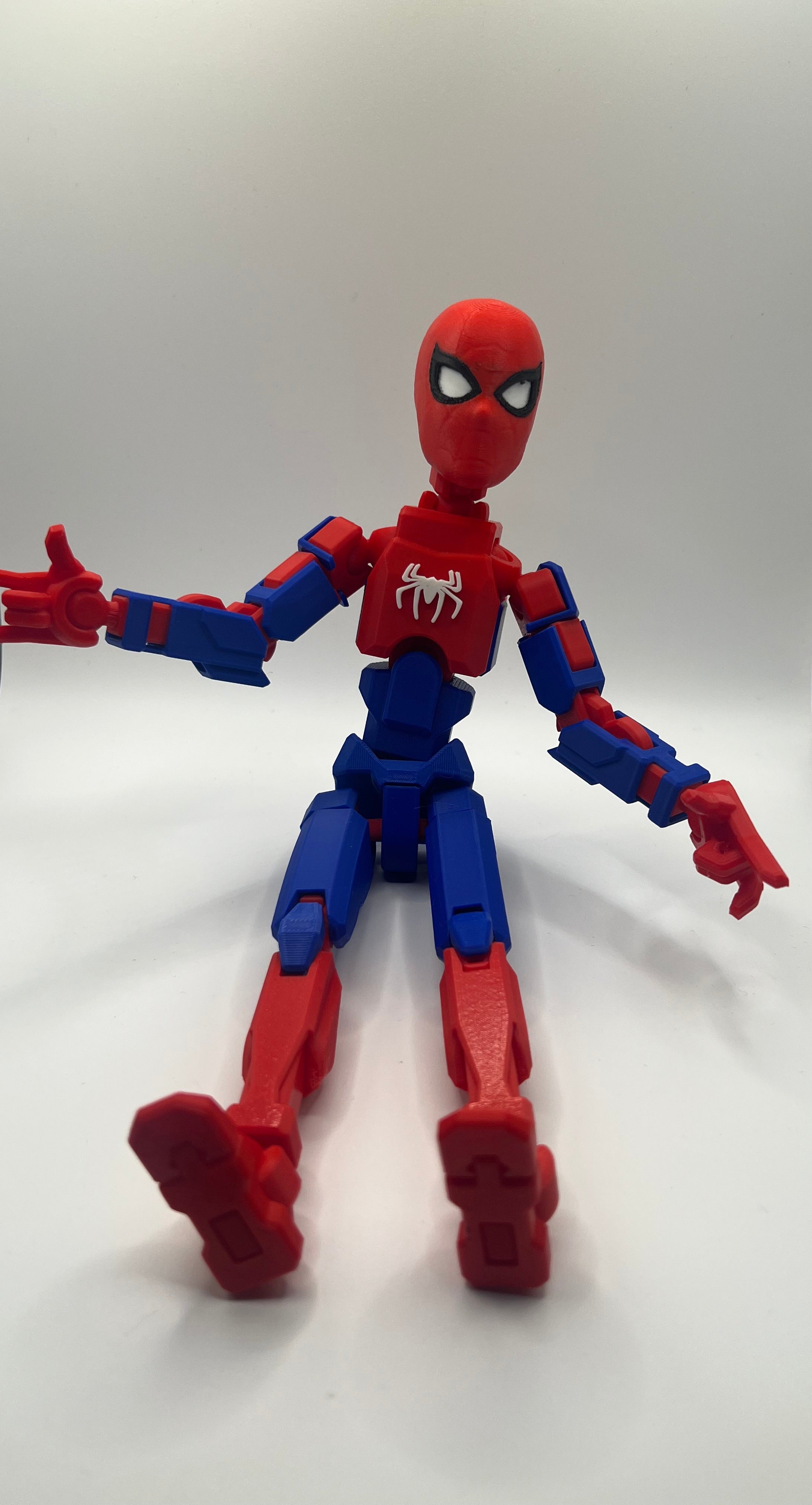 Dummy 13 Spider Guy