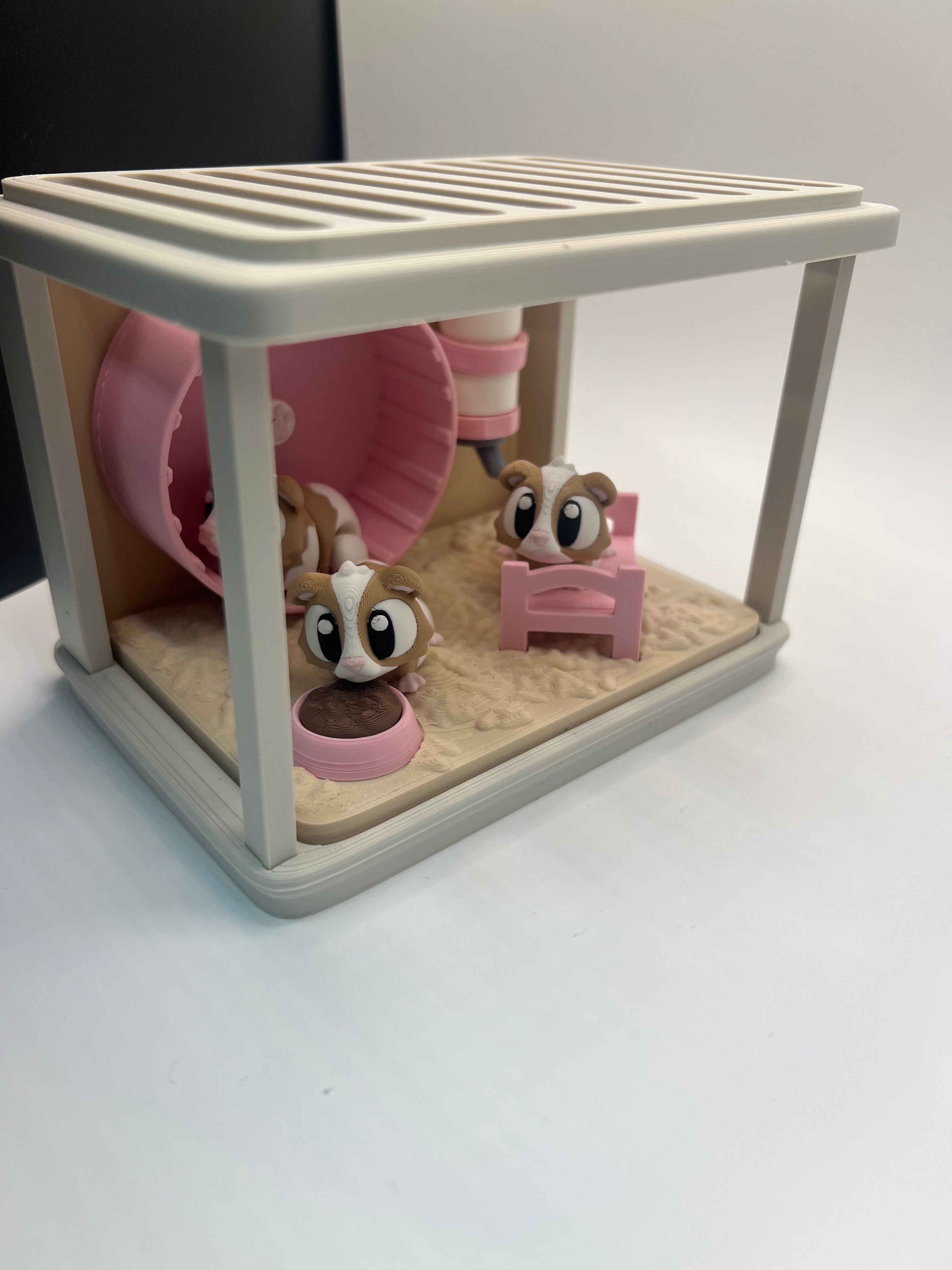Guinea Pigs with Cage