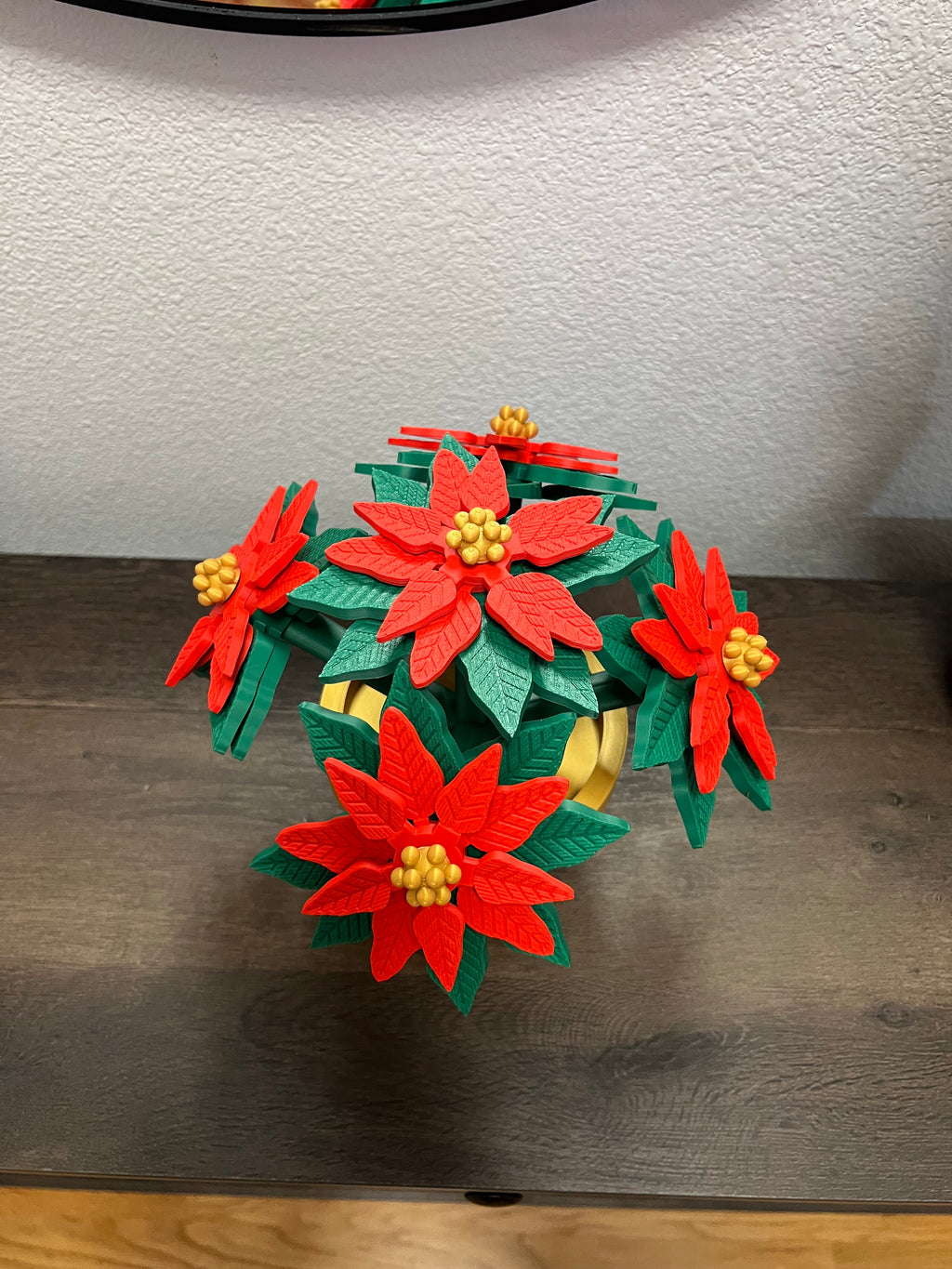 Poinsettia