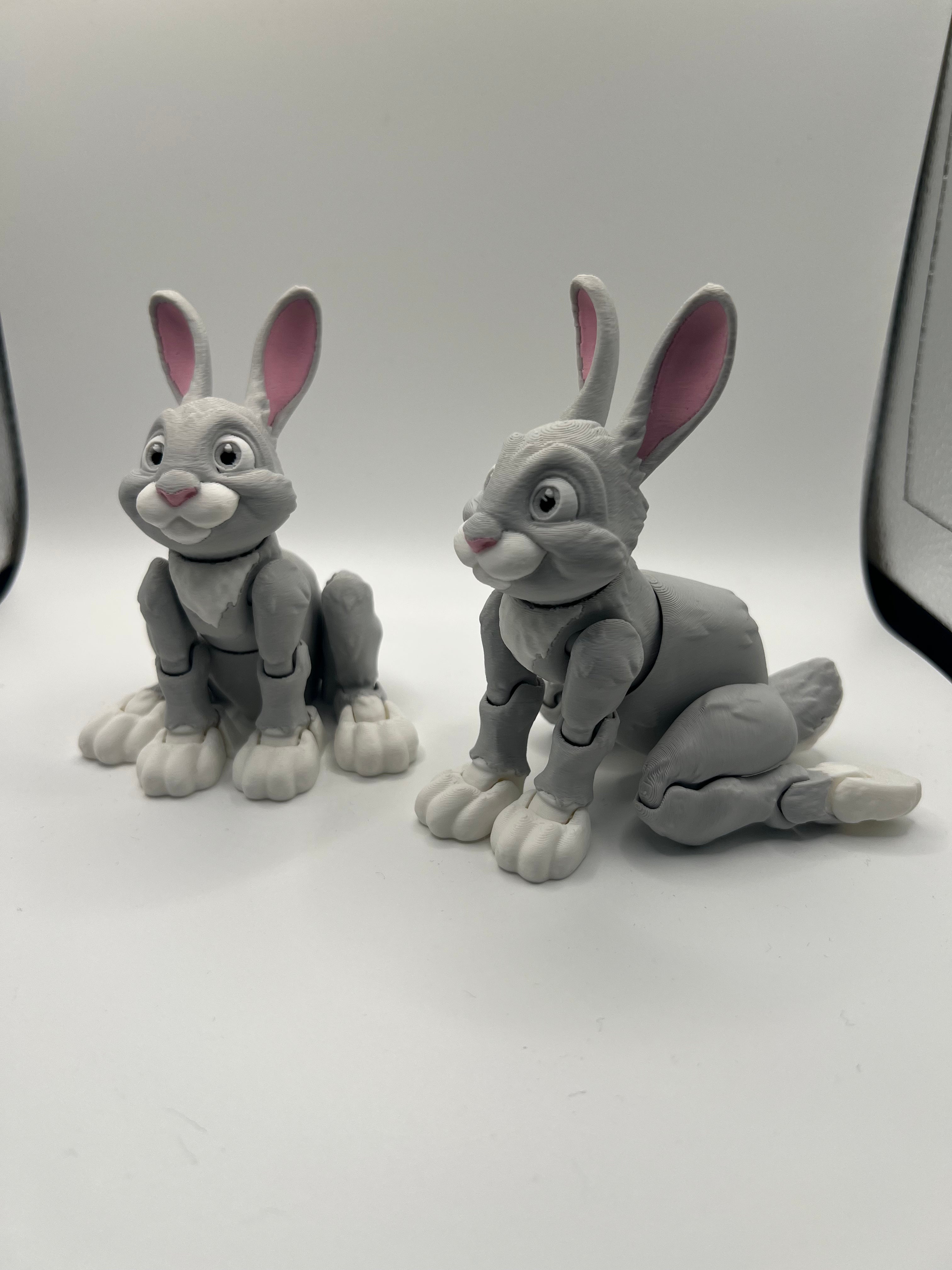 Articulated Bunny