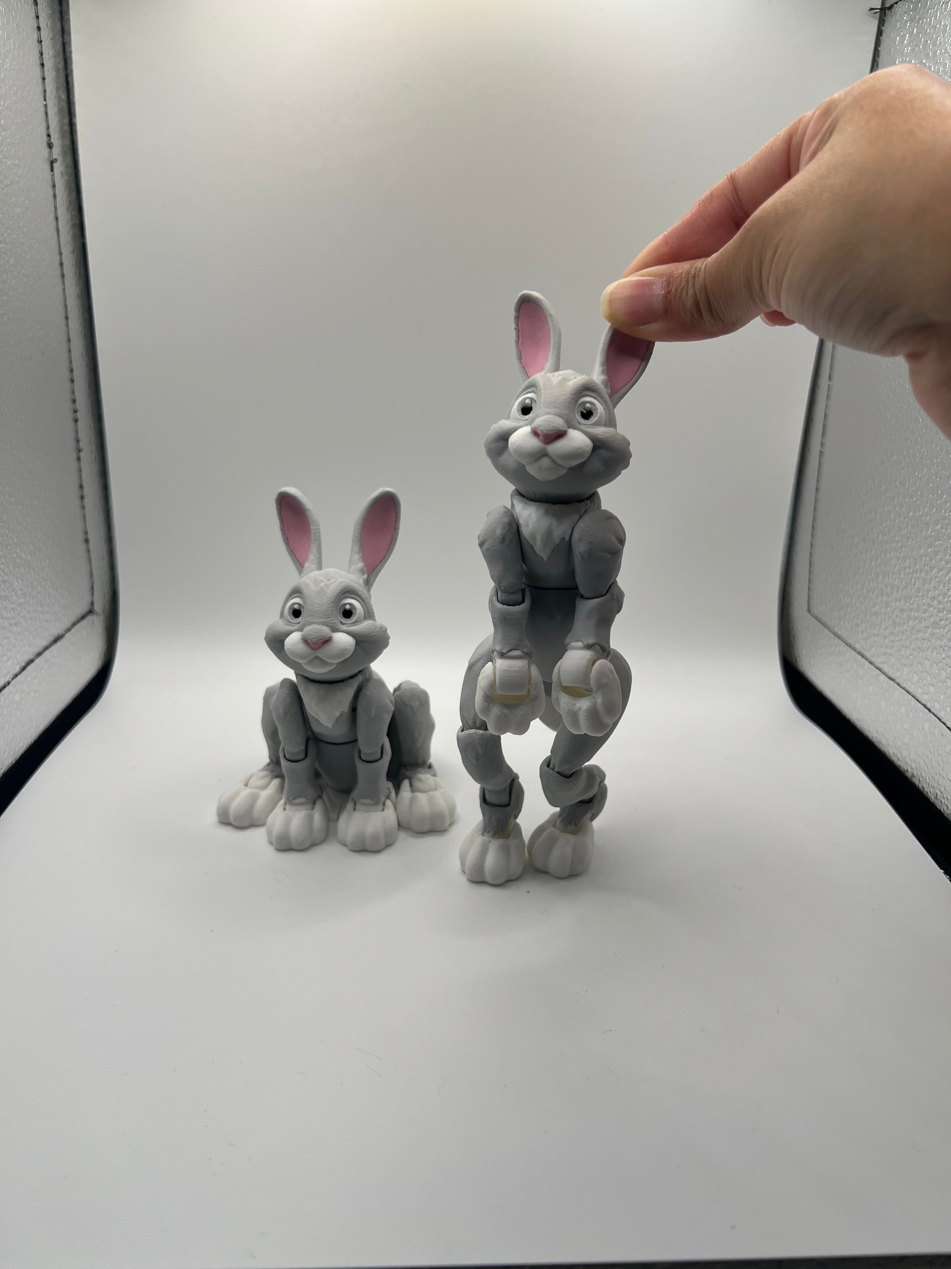 Articulated Bunny