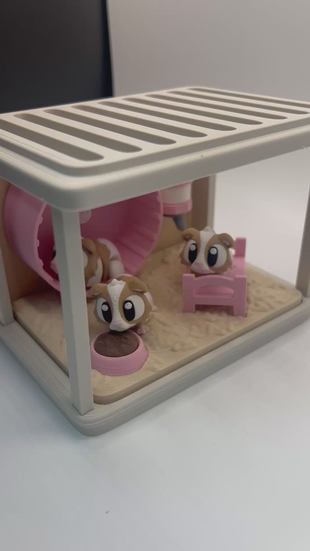 Guinea Pigs with Cage